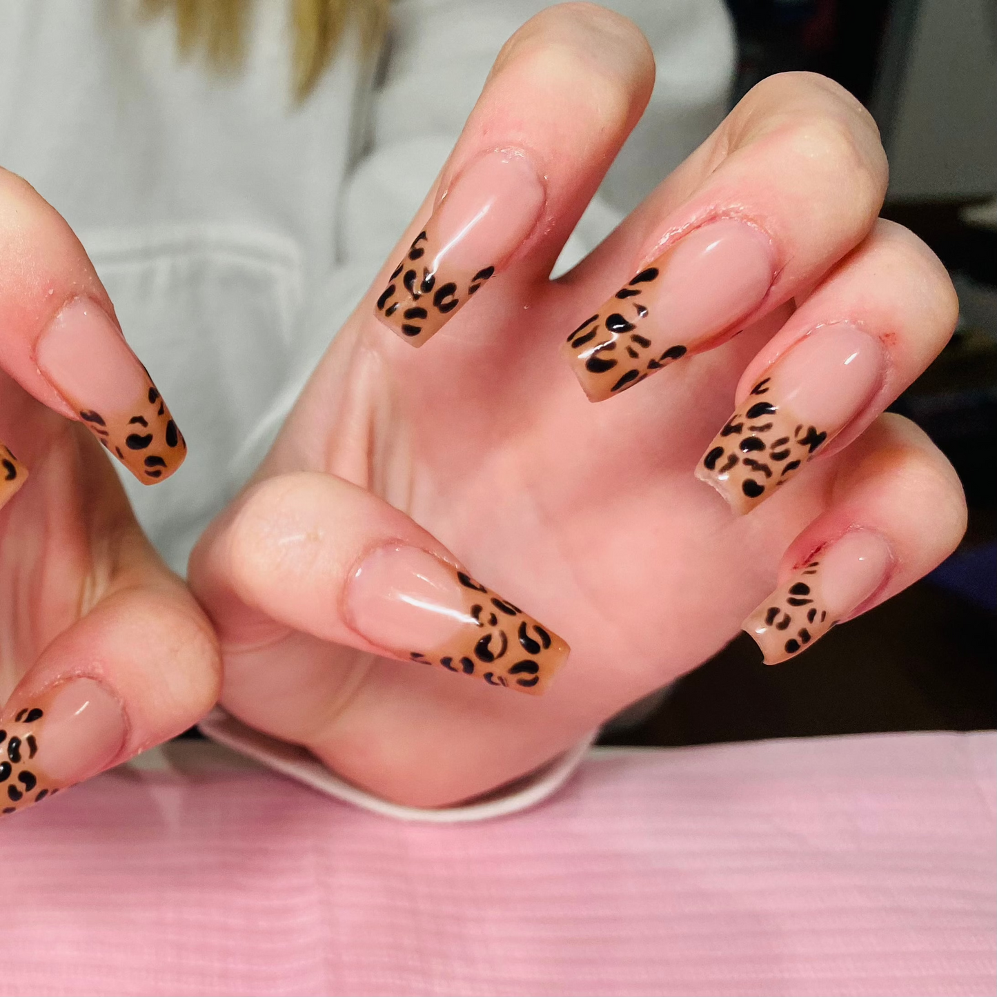 Cheetah Set